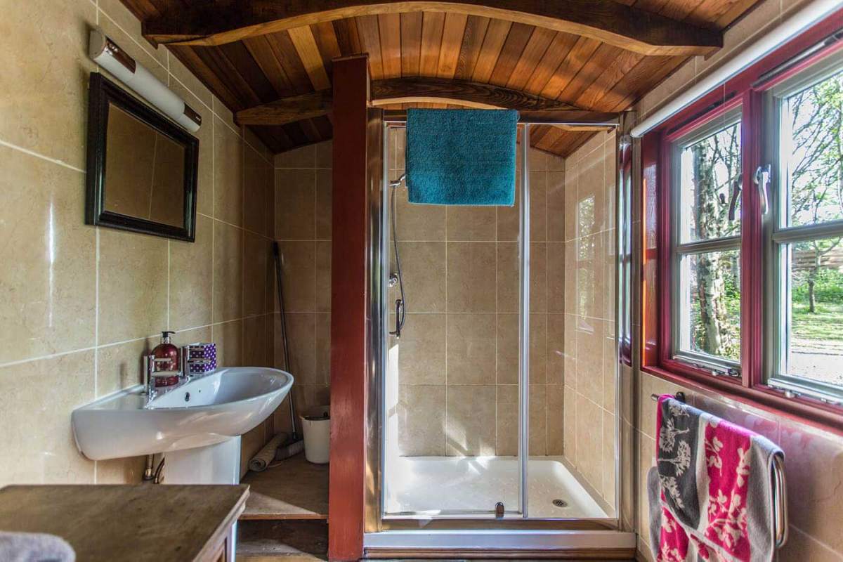 hercules spring action cycle